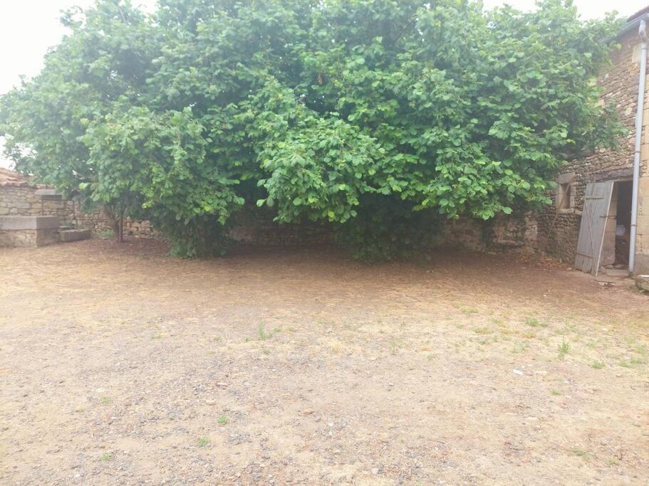 Depaysement A La Campagne *